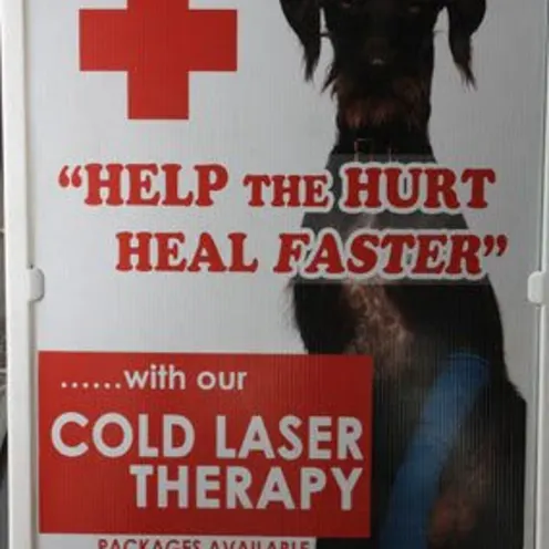 Northgate Small Animal Hospital Laser Sign